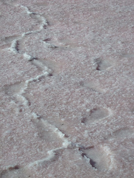 Salt (detail)